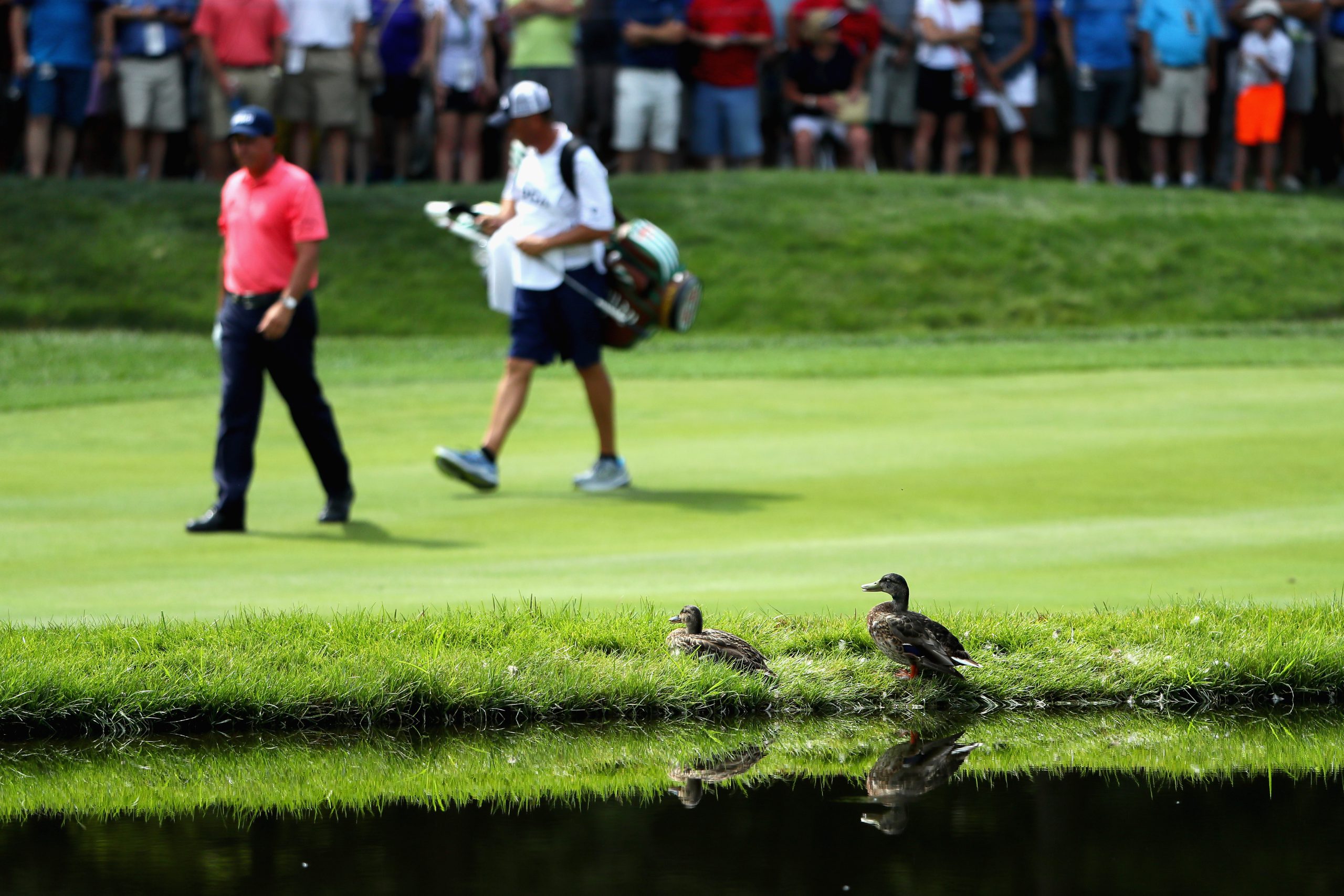 Phil Mickelson Bones