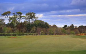 Balgove