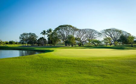 Mexico Open Preview Picture