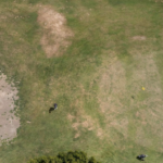 Hagley Golf Greens