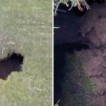 Pebble Beach sink hole
