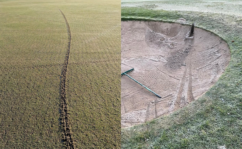 golf course vandals