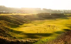 Trump Turnberry reopening