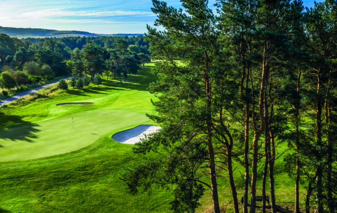 Fife golf