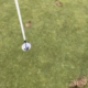 Scottish golf course vandalism