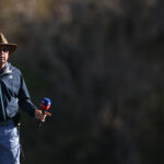 Rory McIlroy golf