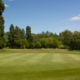 Patshull Park golf club